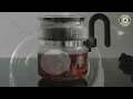 Glass Stovetop Coffee Percolator