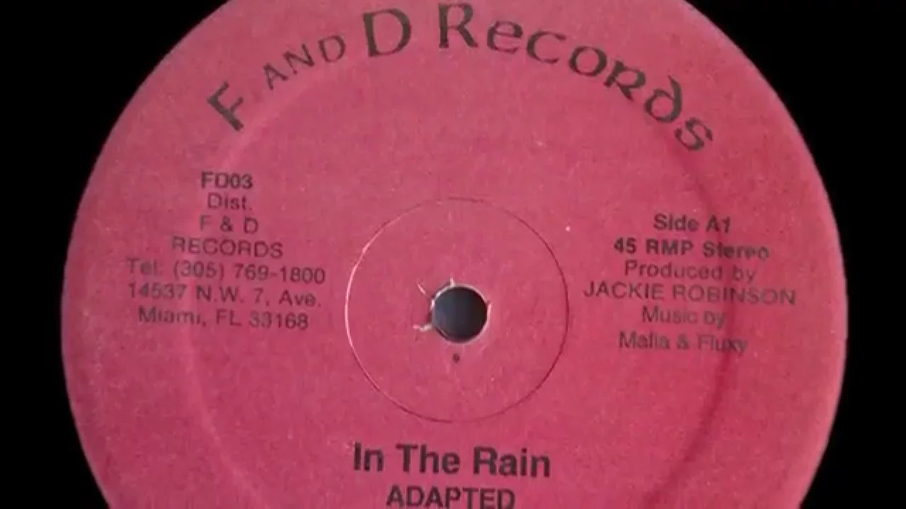 Jackie Robinson & Commissioner - In The Rain + Dj Version - 12 inch - 199X