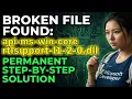 Fix RTL Support DLL Error