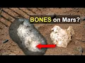 Lagu 45 maanden op Mars: hebben we botten gevonden?