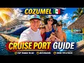 COZUMEL MEXICO Cruise Port Guide Tips Beach Clubs Options