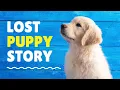 Download Lagu The Miracle of Hope: Lost Puppy's Rescue Warms Hearts (Christian Story for Children)