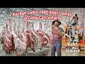 Download Lagu Meriah Ibadah KORBAN di Ladang Lembu \u0026 Kambing Terbesar di Malaysia | Colla Cattle Farm