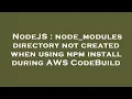 NodeJS node - modules directory not created when using npm install during AWS CodeBuild