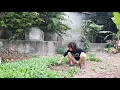 Lagu Single Mom daily life picking vegetables for breakfast part 07