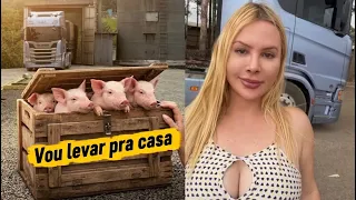 Levei o porco pra casa. VEM CONHECER A MATERNIDADE.