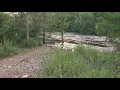 Mother dies child rescued after both were swept down a river in Connecticut