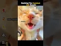 Download Lagu Ranking The Funniest Cat Sounds #shorts
