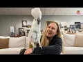 Cumulus the Cockatoo Survived 8 Surgeries Now He Sings With Joy Every Day