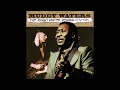 I'm Your Hoochie Coochie Man- Muddy Waters - (HQ) - The Johnny Winter Sessions 1976-1981
