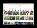 CS50 Web Project 0 Search HTML CSS Bootstrap