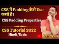 Padding Property in CSS - How to Set Padding Top Right Bottom Left For Beginners