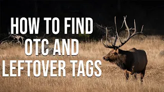 How To Find Leftover Tag Opportunities APPLICATION SEASON
