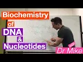 DNA and Nucleotides Biochemistry