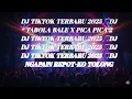 DJ TIKTOK TERBARU 2025 🎵 DJ TABOLA BALE x PICA PICA 2 | NGAPAIN REPOT KO TOLONG — FULL BASS VIRAL
