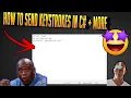 How To Send KeyStrokes in c Autoitx