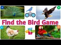 Top Birding Mistakes You re Making and How to Fix Them