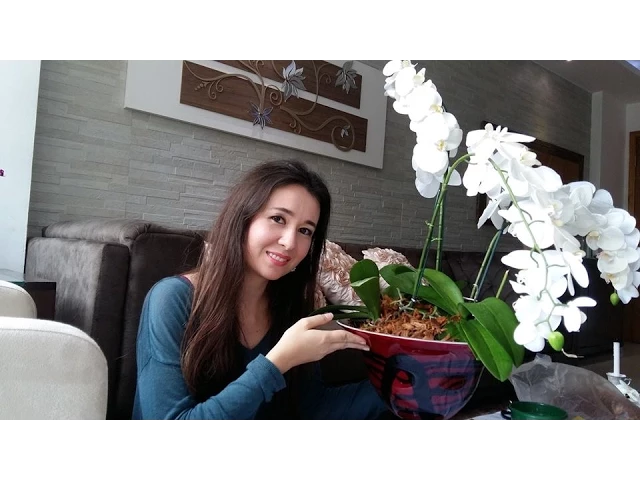 DIY: CENTRO DE MESA COM ORQUÍDEAS NATURAIS