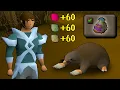 Why everyone is doing Giant Mole right now
