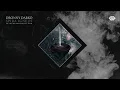 Dronny Darko - Grey Echoes