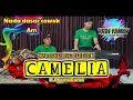 Download Lagu Camelia - Rhoma irama karaoke nada cowo Am versi koplo bangplak