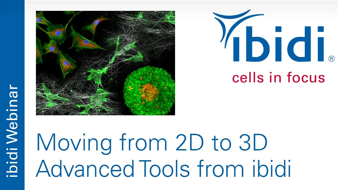 Moving from 2D to 3D - Advanced Tools from ibidi (Short Version)