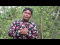 Download Lagu ALBUM CAMPURSARI TER♒GRIS CEK VOKAL VOL 2 #### MONCROT POLOKU #### BY MC MBH SUN ARJUNA MUSIC