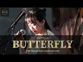Download Lagu Adylla【Butterfly】Live Session 2025