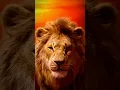 Download Lagu lion king 2019 vs 1994 #shorts