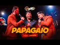 Download Lagu Rainha Musical - Papagaio Feat. Negão #Tudovirabailão2