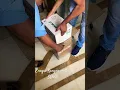 Download Lagu Unboxing Enagic SD501. #kangen #kangenwatermachine #enagic #water #enagicindia #sd501 #health