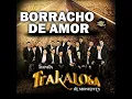 Borracho de Amor