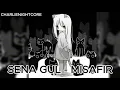 Sena Gul - Misafir (SPEED UP)
