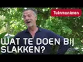 Download Lagu Wat te doen bij slakken? | Tuinmanieren