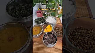 My Husband Lunchbox 116 Tamil Lunch Lunchbox Shortsfeed Lunchideas Lunchboxideas Comfortfood 