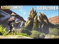 What Is Inside the Stump - Grounded