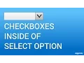 How to use Checkbox inside Select Option HTML JavaScript CSS Tutorial