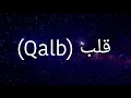 Lagu قلب | Qalb (The Light of Allah in My Heart) – Official Arabic Nasheed | Ya Dubai
