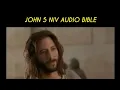 JOHN 5 NIV BIBLE with text