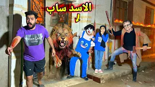 الاسد هرب من البيت وفقدنا السيطره عليه😱وسفاح الطريق هجم علينا ولكن!💔