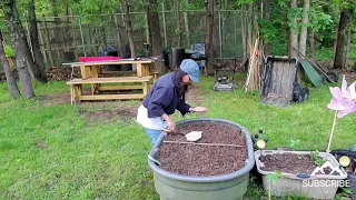 old tank as my container garden lets plant lettuce country living 