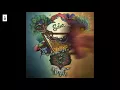 Shadow and Light - "Dilruba"