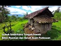 Download Lagu Suasana Alam Pedesaan Rumah Tengah Sawah Bikin Nyaman dan Betah 