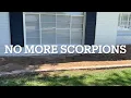 Scorpion Pest Control Pest Border Phoenix