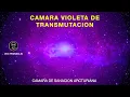 CAMARA VIOLETA DE TRANSMUTACION 💜 Camara de Sanacion Arcturiana 🛸 Vivi Pedraglio