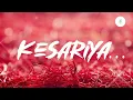 Kesariya 🎶 (Lofi Flip Video) - Brahmāstra |Ranbir & Alia | Pritam| Arijit Singh | Amitabh B.| VIBIE