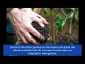 The Only Guide for Creative Gardening - Facebook