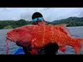 Download Lagu SELAMA MANCING BARU KALI INI DAPAT KERAPU SUNU SEBESAR INI❗️ BIARO SURGANYA MANCING.