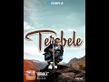 LITSHEPE LR & TIGER-TEREBELE(OFFICIAL LYRIC VIDEO)
