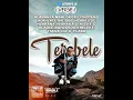 Download Lagu LITSHEPE LR \u0026 TIGER-TEREBELE(OFFICIAL LYRIC VIDEO)